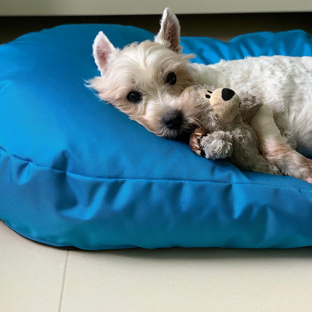 poochsta’ – water-repellent bean bag pet bed